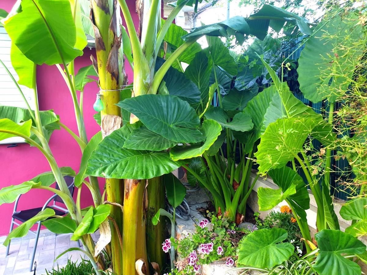 הוילה Aloe House Lakíthra מראה חיצוני תמונה