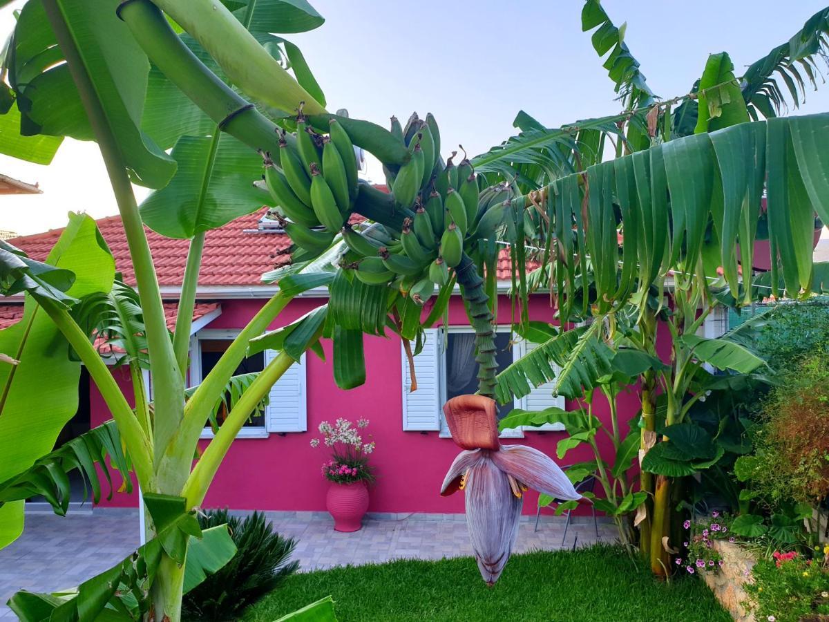 הוילה Aloe House Lakíthra מראה חיצוני תמונה