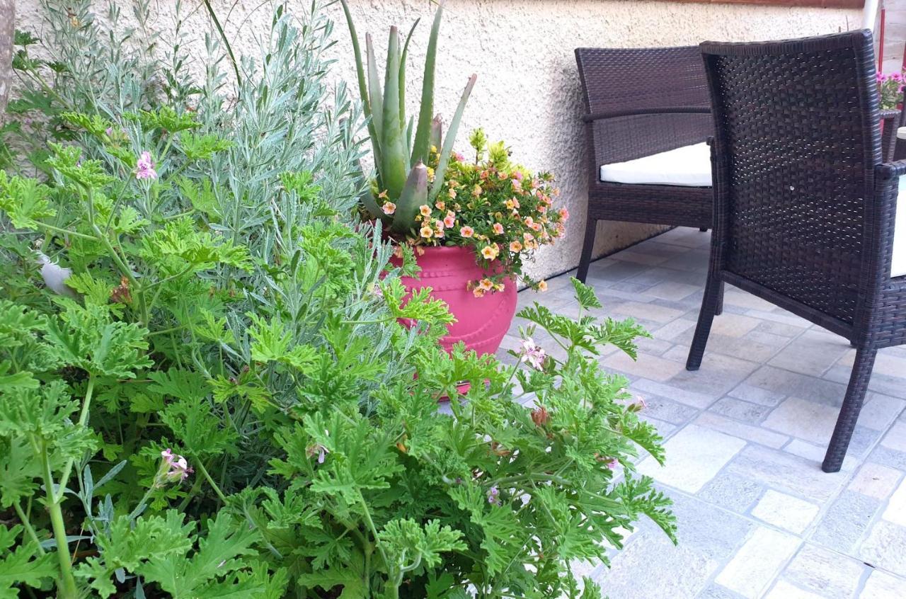 הוילה Aloe House Lakíthra מראה חיצוני תמונה