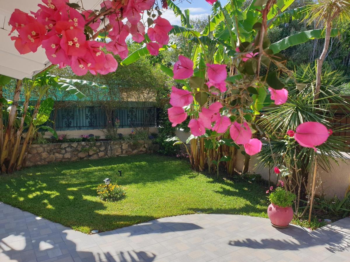 הוילה Aloe House Lakíthra מראה חיצוני תמונה
